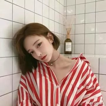 捕风追影